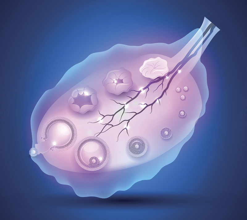 2026湖北做试管成功率比较高的医院有哪些名单